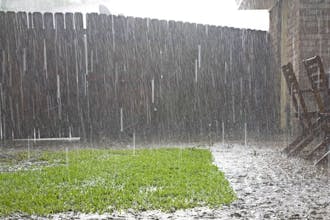 Dränera gräsmatta själv Dränera gräsmatta själv - så gör du